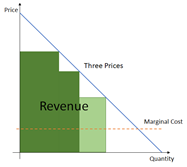 A Segment of One: Fixed vs. Variable Pricing