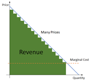 A Segment of One: Fixed vs. Variable Pricing